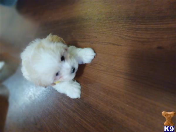 Liam2021 Picture 2